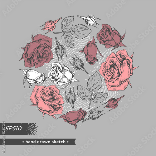 Circle filled Roses. Detailed hand-drawn sketches, vector