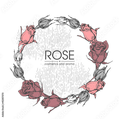 Frame with Roses . Detailed hand-drawn sketches, vector