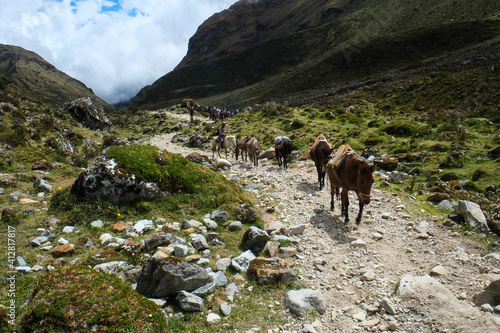 南米ペルー、アンデス山脈の氷河からジャングル地帯を歩いてマチュピチュを目指すサルカンタイトレッキング