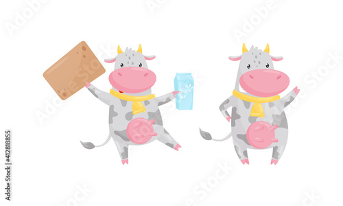 Cute Cow as Domesticated Animal with Hooves Holding Carton of Milk and Greeting Vector Set