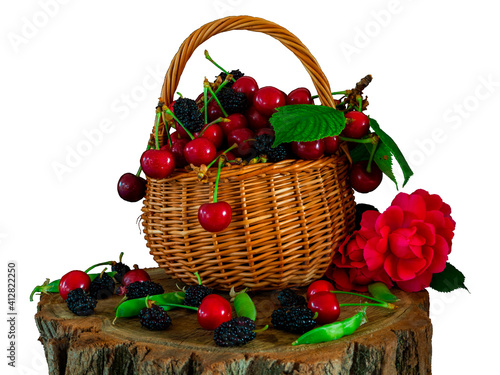 Isolated against a white background  a wicker basket filled with cherries stands on a stump. Also on the stump-mulberry  scarlet rose and green pea pods.
