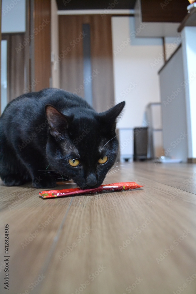 Naklejka premium 食べる黒猫