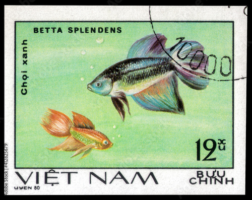 Postage stamp issued in the Vietnam with the image of the Siamese Fighting Fish, Betta splendens. From the series on Fish, Ornamental, circa 1981 photo