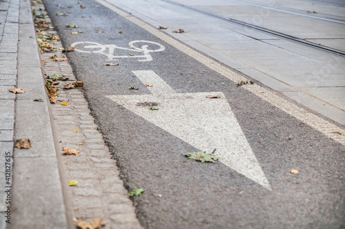 fallen leaves on narrow asphalt road for cyclists 
