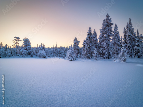 Winter arctic landscape. Winter forest in Paanajärvi National Park. Russia, Republic of Karelia