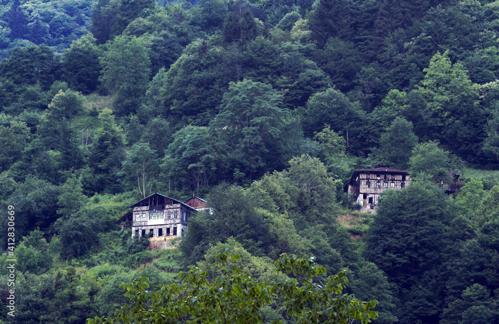 A photo of wooden houses that are positioned on the foothill of the forested mountain under the cloudy sky.  Living in the countryside of Turkey, especially in Black Sea region, is so relaxing because