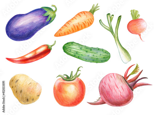 Set of vegetables in colored pencil style isolated on white background. Illustration. Templates