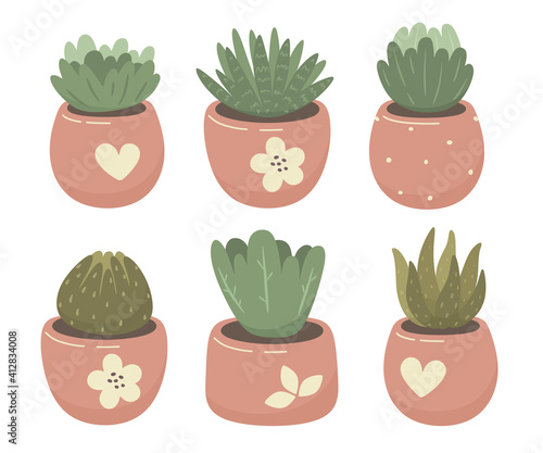 Indoor flowers, succulents. Vector isolates of decorative, tropical plants on a white background.