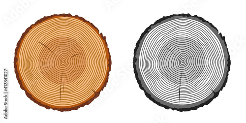 Tree trunk rings cut isolated close up vector cartoon illustration set, black and white and brown colorful wooden stump slice