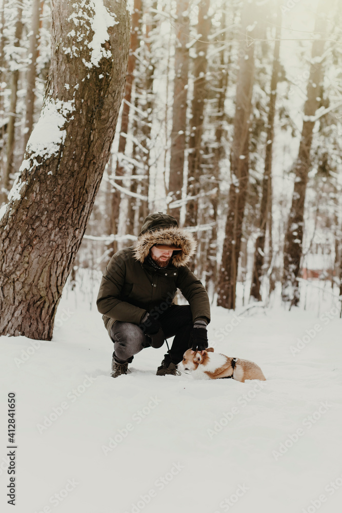 Obraz premium man walking corgi dog