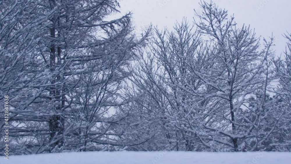 スローモーションの雪が降る冬の雪景色が美しい日本の冬景色 スローモーションの雪が降る冬の雪景色が美しい日本の冬景色