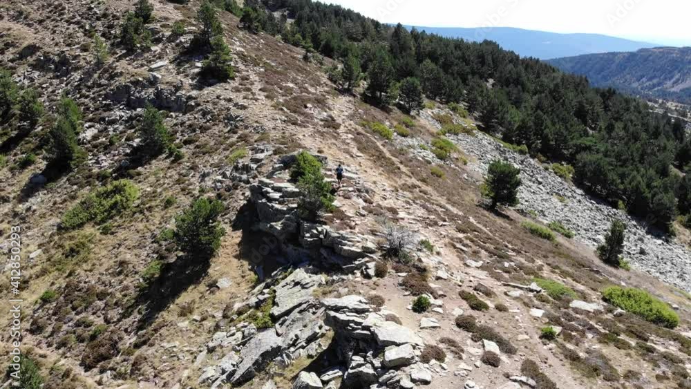 Trail runner in a mountain with trees Trail runner in a mountain with trees