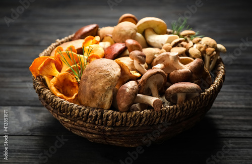 Different fresh wild mushrooms in wicker bowl on black wooden table, top view