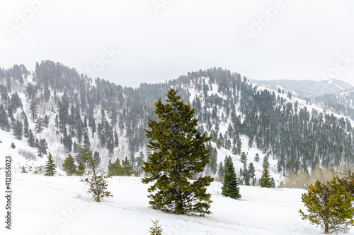 Heavy snow weather at winter time in the mountains of Jackson Hole, Wyoming, USA