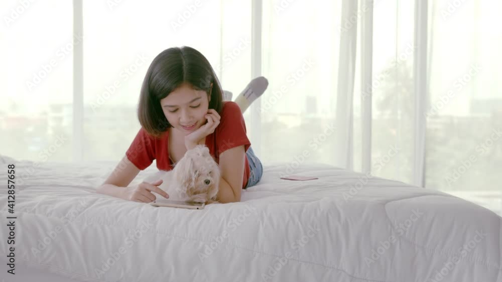 Wide Shot, Handheld, slow motion - Young mixed race lady chatting online and relax with a cute little Maltese pet dog. New normal Isolation activity for pet lover concept. Wide Shot, Handheld, slow motion - Young mixed race lady chatting online and relax with a cute little Maltese pet dog. New normal Isolation activity for pet lover concept.