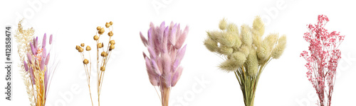 Set with beautiful decorative dry flowers on white background, banner design
