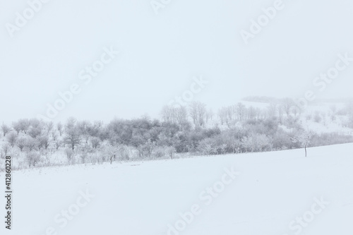 White winter nature with snowy hills and forest  © russieseo