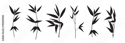 Set of differents bamboo branch on white background.