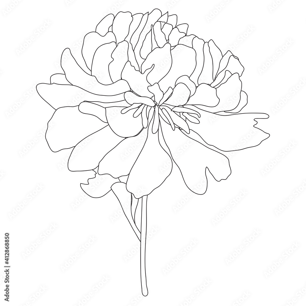 Abstract Hand Drawn contour silhouette flower. Vector Illustration EPS10 Abstract Hand Drawn contour silhouette flower. Vector Illustration EPS10