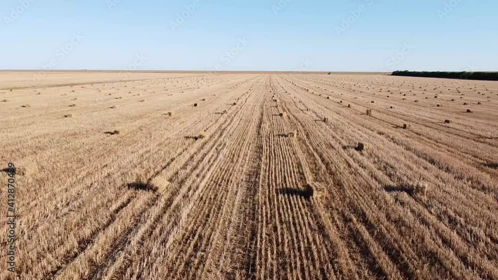 Mown steppe field with cylindrical sheaves of hay in the distance blue sea on the horizon on a sunny day. Mown steppe field with cylindrical sheaves of hay in the distance blue sea on the horizon on a sunny day.