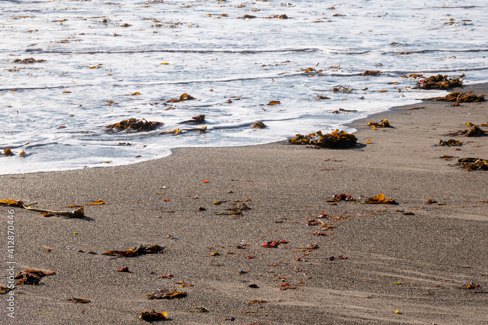 Bright sandy beach with waves and seaweed Bright sandy beach with waves and seaweed