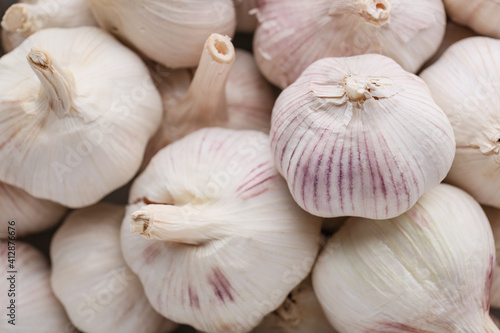 Heap of fresh garlic as background