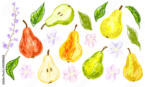 Pears, flowers and leaves. Set of colorful bright elements, collection for trendy summer design. Hand drawn vector. Isolated on white background. Clip-art for poster, print, frame, banner, flyer