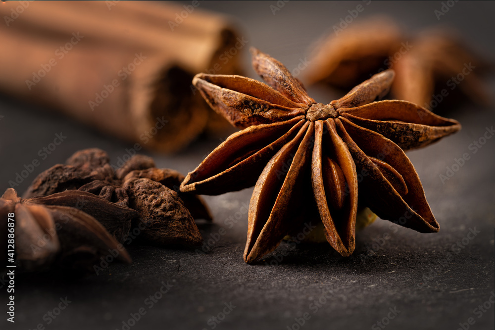 star anise on a dark background along with vanilla star anise on a dark background along with vanilla