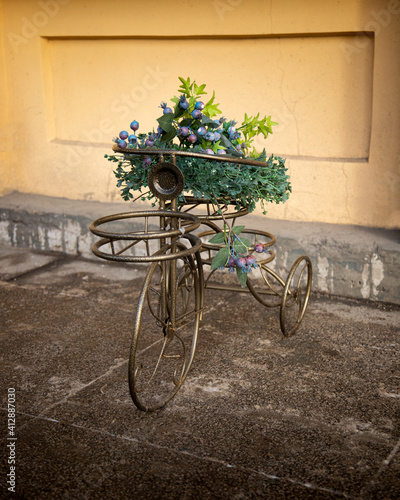 bicycle and flowers