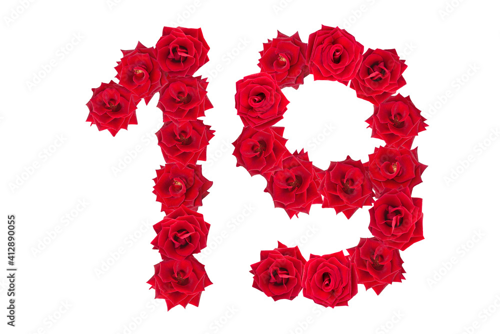 Numeral 19 made of red roses on a white isolated background. Element for decoration. Red roses.