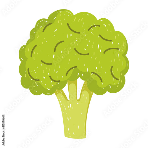 healthy food broccoli vegetable icon isolated style