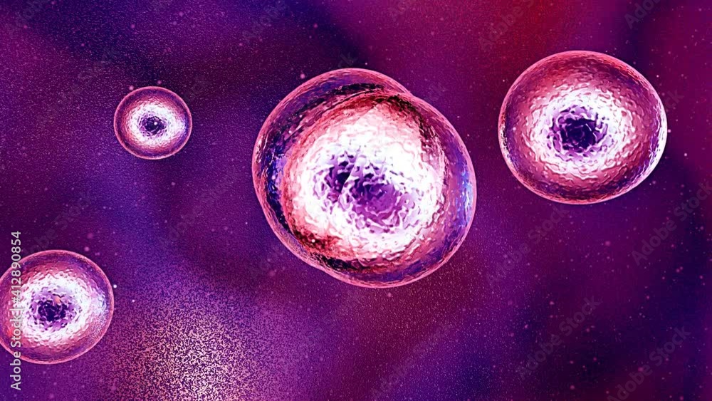 Mitosis.Cell Division or Cloning Cells under the microscope, stem cells ...