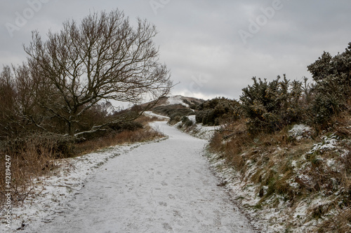 Wallpaper Mural Malvern Hills in snowy weather Worcestershire UK Torontodigital.ca