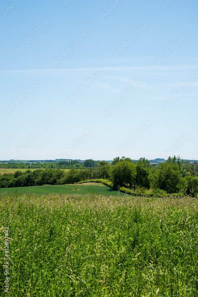 Fototapeta premium Summer countryside landscape in Belgium