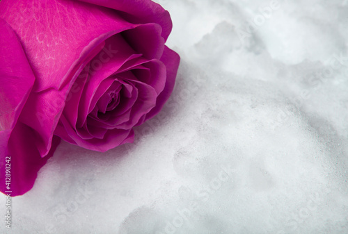 image of flower snow background