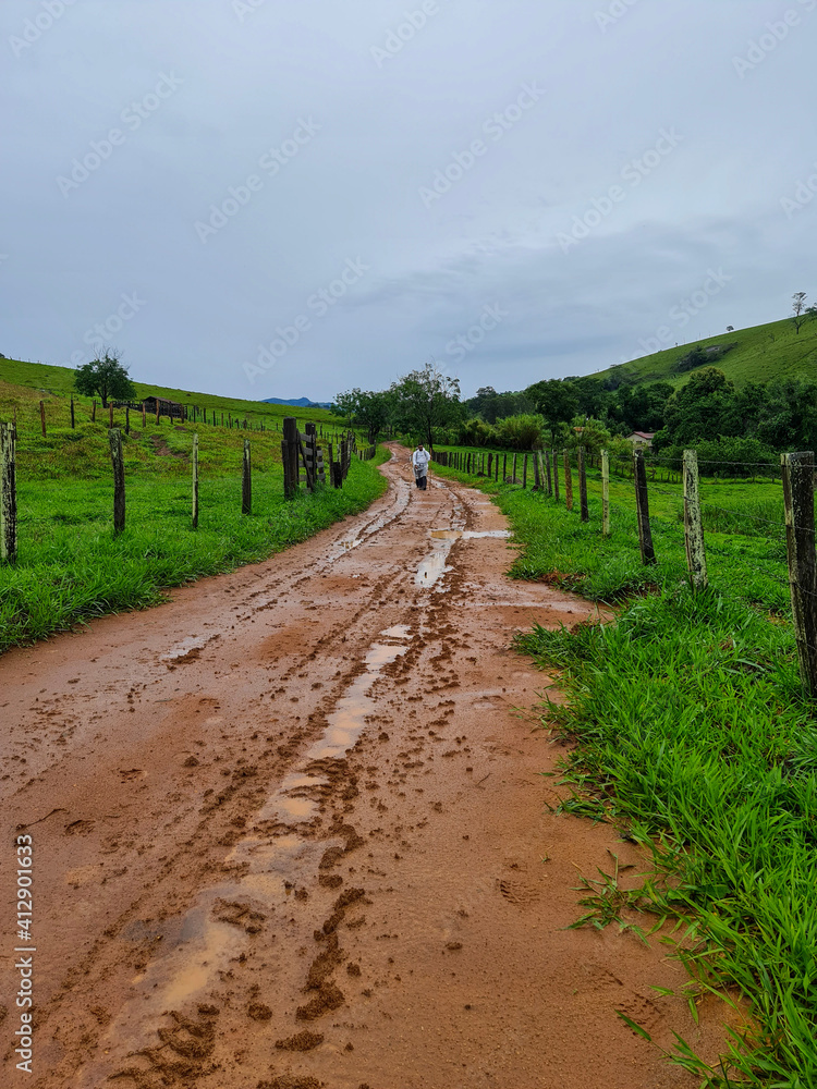 road in the field