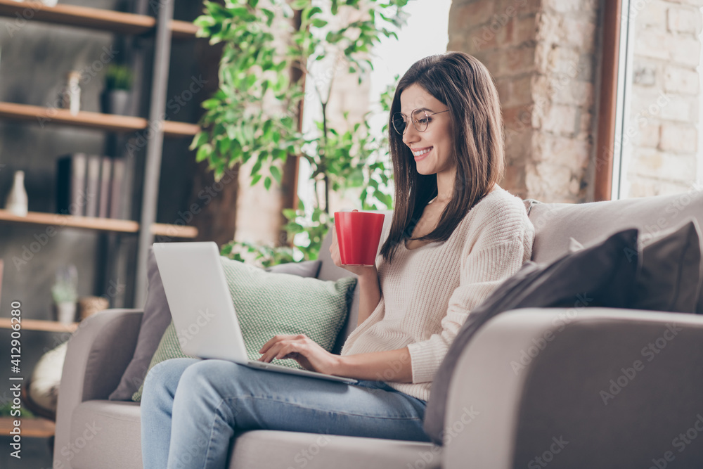 Profile side photo of happy smart woman sit sofa drink coffee mug use laptop wear sweater jeans inside house indoors