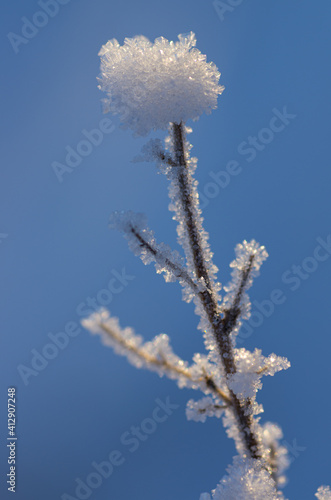 Hoarfrost on branches against bright blue sky in the winter