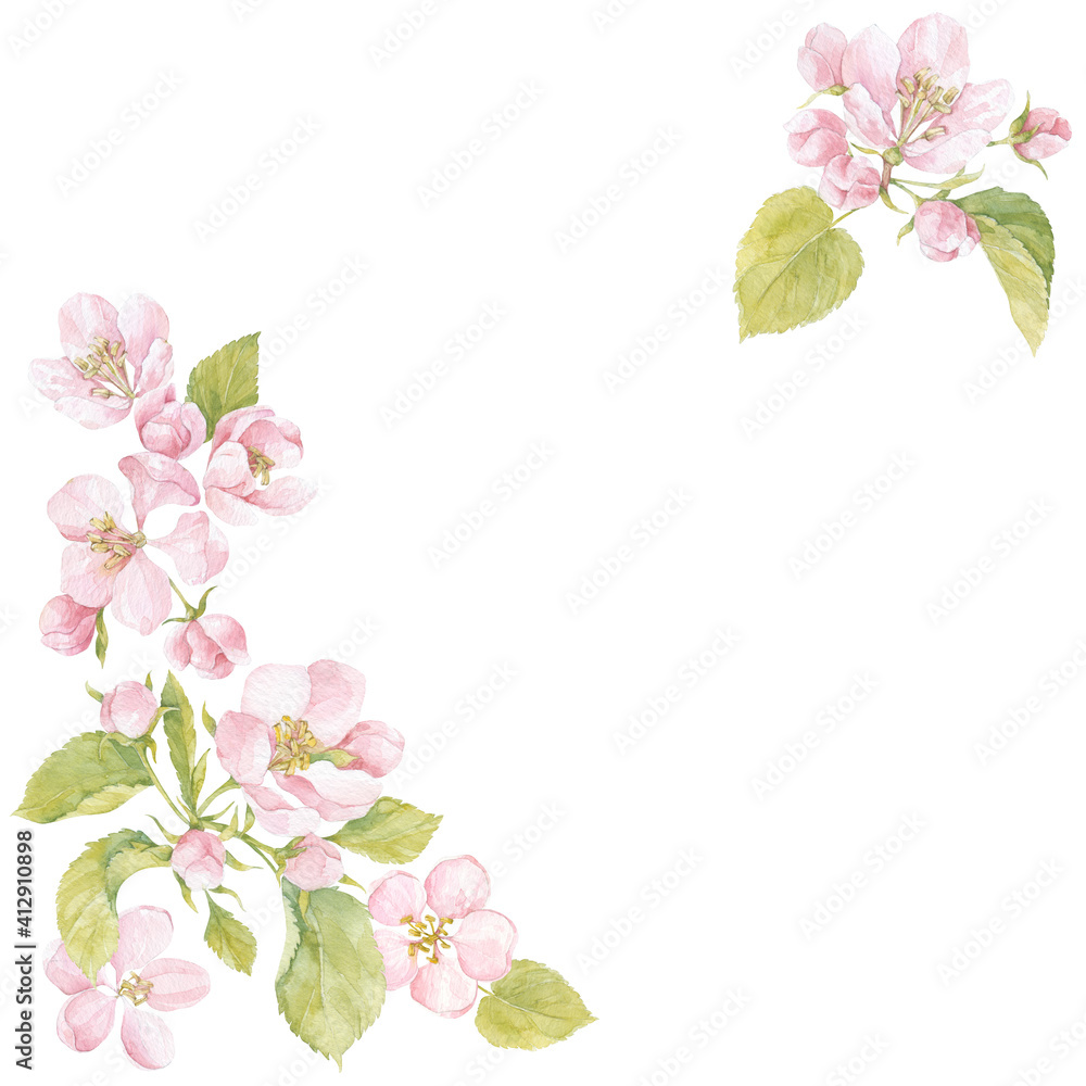 Floral watercolor background with blooming apple tree branches and place for text on white. Invitation, greeting card or an element for your design. Corner composition.