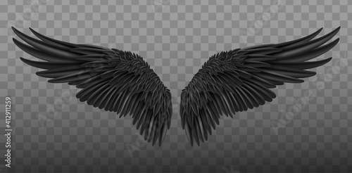 Realistic black wings. Pair of white isolated angel style wings with 3D feathers on transparent background.