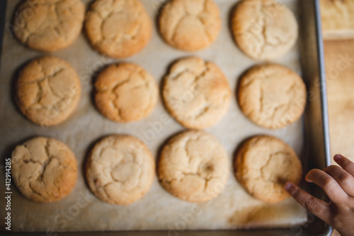 a delicious looking batch of snickerdoodle cookies and some warm milk in a rustic looking cup. the cookies are freshly baked and have Cinnamon and sugar on them. the cow milk is fresh and warm. 