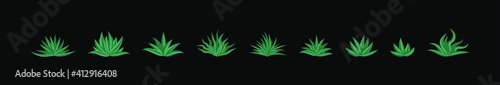 set of maguey plants cartoon icon design template with various models. vector illustration isolated on black background