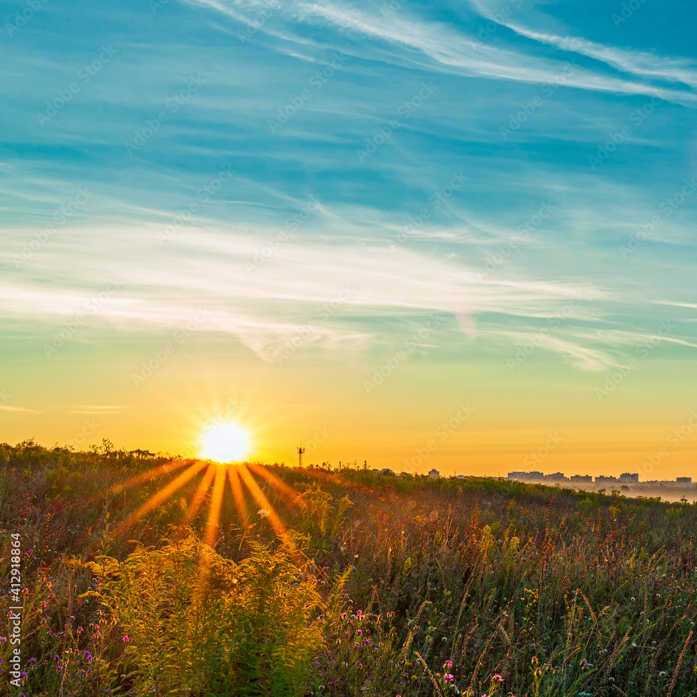 Obraz premium The first rays of the rising sun in a field on the outskirts of the city