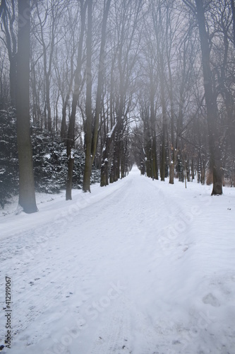 Photos,nature,wite snow,outside,frozen lake,birds,road in park,walking © Tanyi
