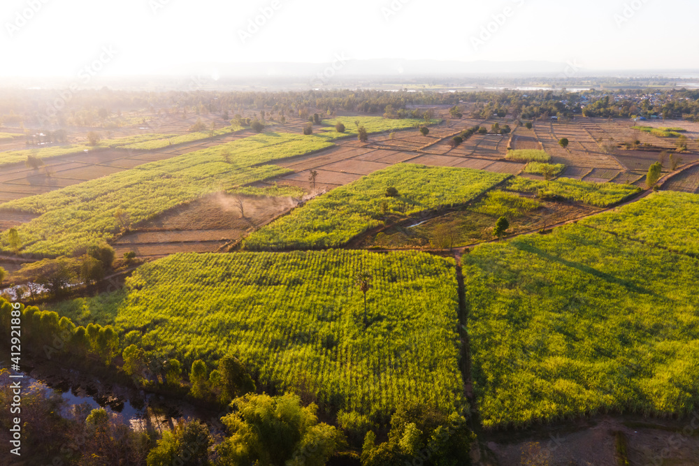 Obraz premium Aerial view drone farm and landscape in sunlight