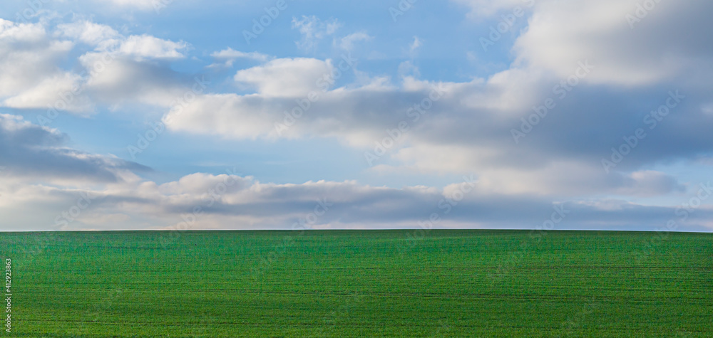 Fototapeta premium scenic landscape with green field and sblue sky with soft clouds as background