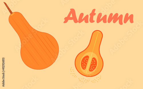 Orange juicy pumpkins. Whole vegetable and half