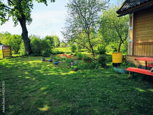 flowers in the garden against the blue sky and green fields