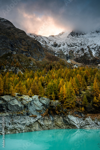 autumn forest near Ferpecle at sunset, Valais photo