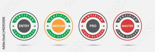 Professional business certified logo badge. Certification exam candidates label icon template. Vector illustration.
